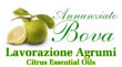 Logo Annunziato Bova